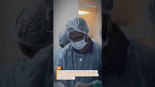 Pet Surgery #petlover #animedcare #petparents #surgeryrecovery #surgerycomplications #petsurgery