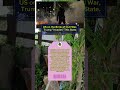 US on the Brink of Civil War, Trump "Invades" This State. #subscribers #shortvideo #breakingnews