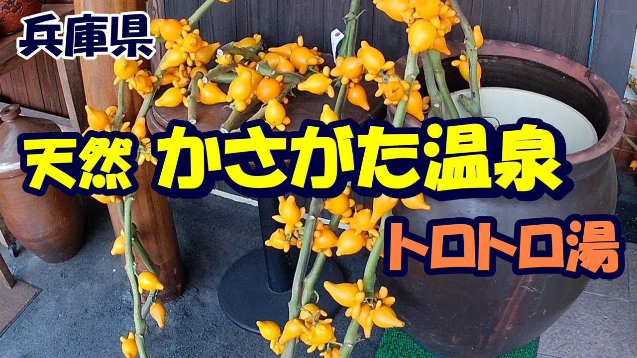 粋な旅人に出会いました！ / 穴場温泉！ 兵庫県【天然 かさがた温泉】日帰り湯