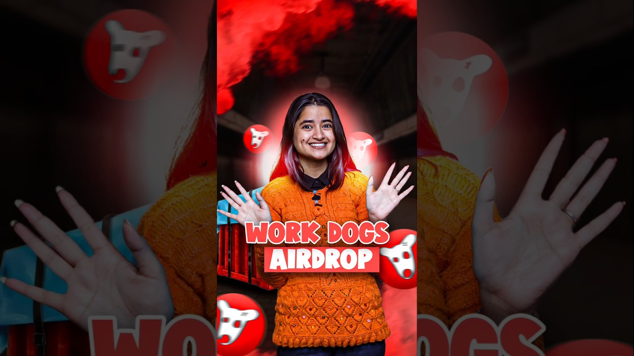 Work Dogs Airdrop  : New Airdrop