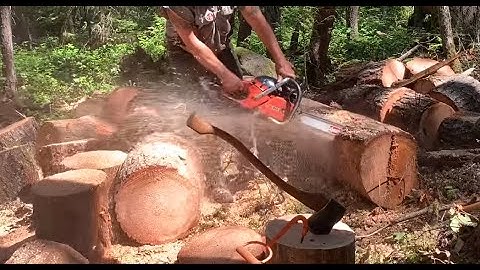 How to keep your chainsaw sharp while bucking logs in the rocks