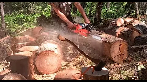 How to keep your chainsaw sharp while bucking logs in the rocks