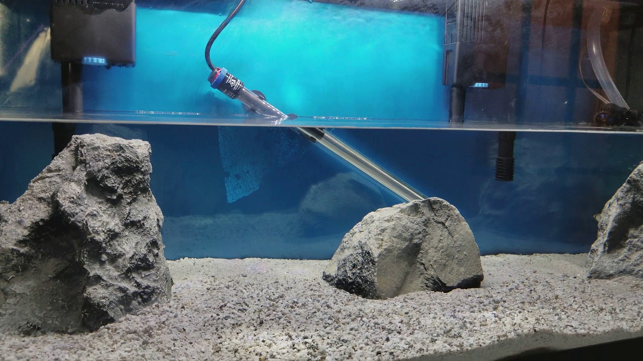 something in the way she moves What I use to do water changes