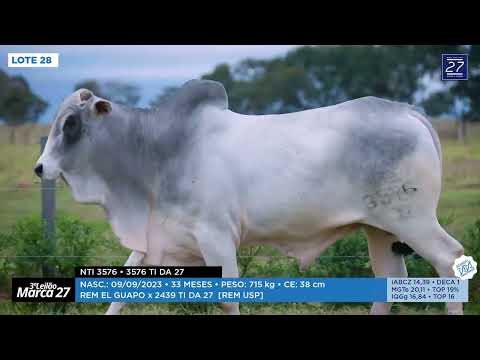 LOTE 28 - NTI 3576