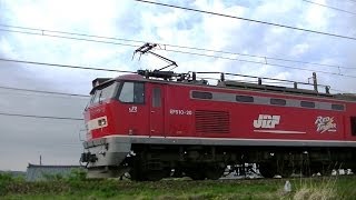 レッドサンダーEF510-20 大阪タ→新潟タ 高速貨物4059レ