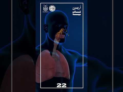تأثير القهوة على الدماغ في اربعين ثانية  2022 2023