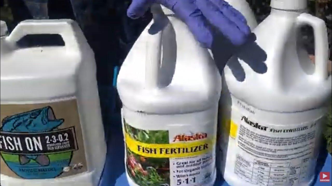 Alaska Fish Fertilizer For Plants Fish On Fertilizer Foliar Feeding Organic Fish