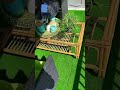 Artificial Grass For Balcony Project - Dubai Artificial Grass