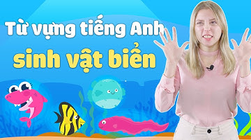 Từ vựng Tiếng Anh về các loài Sinh Vật Biển: Sea Animals - Tiếng Anh giao tiếp cho người mới bắt đầu