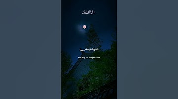وَلَقَدْ نَعْلَمُ أَنَّكَ يَضِيقُ صَدْرُكَ بِمَا يَقُولُونَ/هزاع البلوشي| سورة الحجر #قرآن