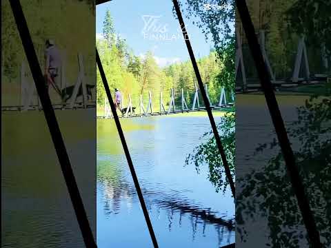 This is Finnland 🇫🇮 | Wo die Natur in Lappland das Sagen hat