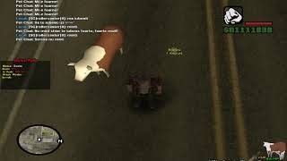 Advanced Pet System in SA-MP Server