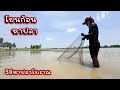 วิธีหาปลาแบบโบราณ โยนก้อน โยนปุ่ม หว่านแห ลาดตระเวนปลา #fishing 