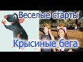 Идеи Эстафета для детей "Веселые старты"