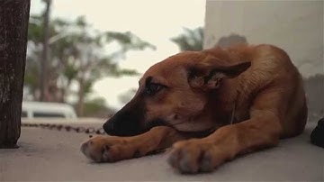 Canon Eos-M magic lantern High Bit-rate test