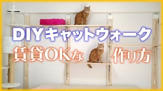 【DIY】賃貸でも出来るキャットウォークの足場を手作りしました作り方を解説します