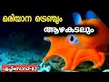 മരിയാന ട്രെഞ്ചും അഴക്കടലും | Malayalam-Facts About Mariana Trench in Malayalam