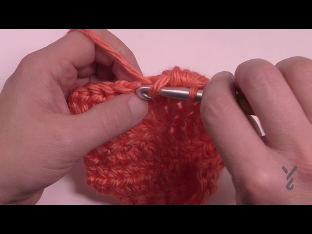 Double crochets en métal - Lot de 5 - ON RANGE TOUT