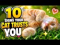 10 Things Cats Do That Secretly Mean They Trust You