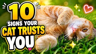 Is Your Cat Secretly Obsessed With You?