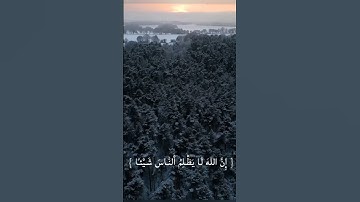 سكينة للقلب و العقل ♥️ #عبدالرحمن_مسعد #الله #قرآن #تلاوة_خاشعة #اكسبلور #المصحف #لايك