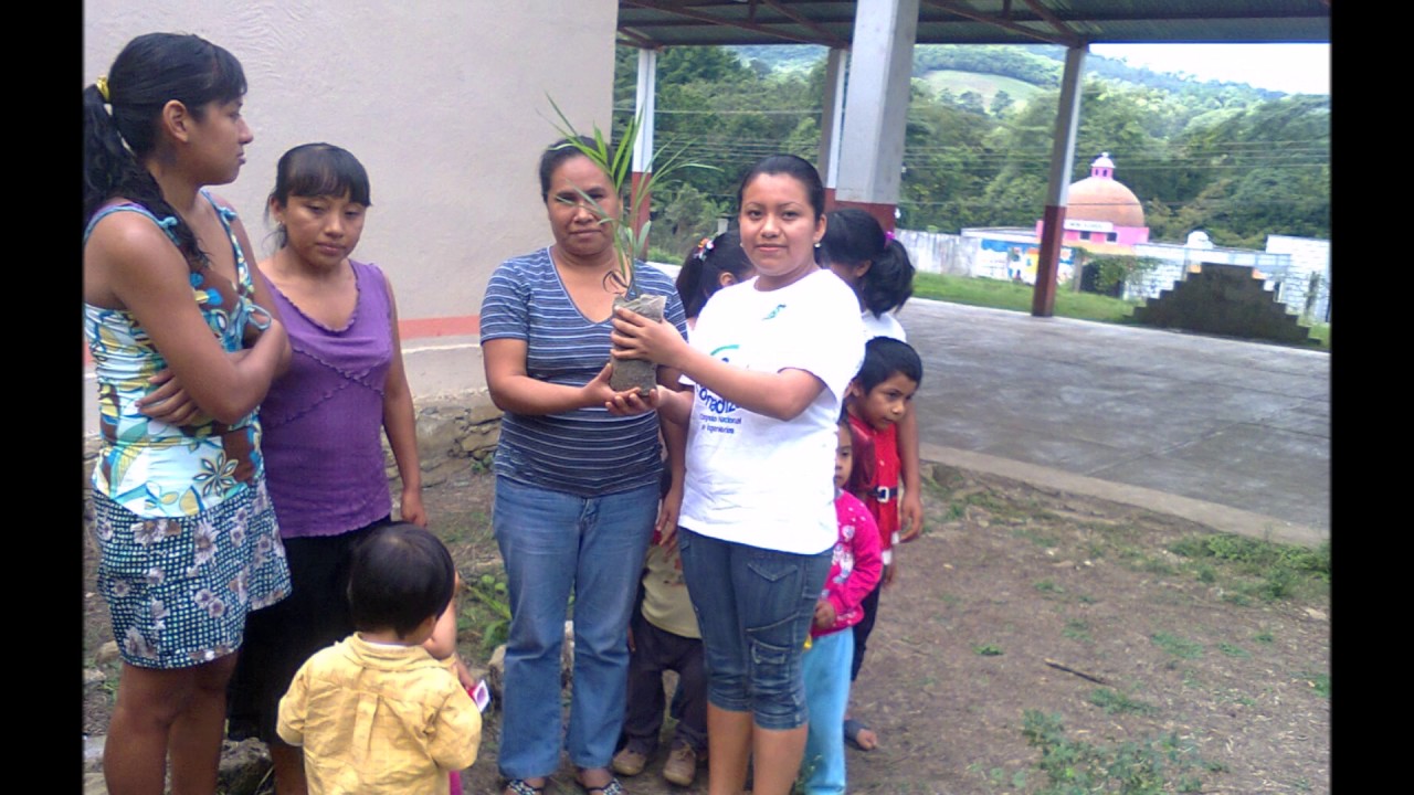 camera iphone 8 plus apk PROYECTO SALVATE