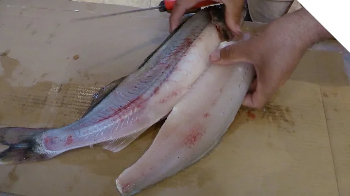How to "zipper" a walleye - totally boneless fillets