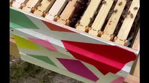 Splitting Hives- Here’s How You Add A New Queen Bee