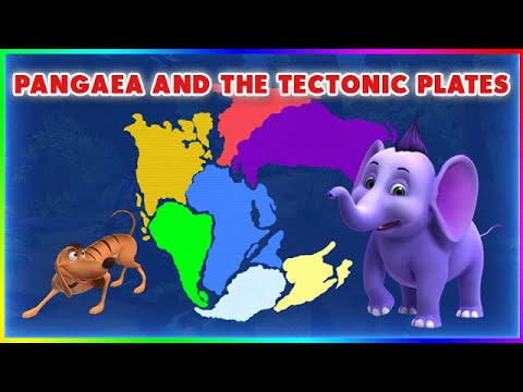 Episode 6 - Pangaea and the Tectonic Plates | 4k | Appu the Yogic Elephant