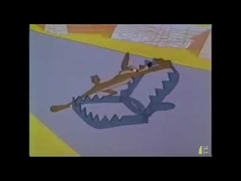 Bip Bip Roadrunner & Coyote 4- Nostaljik (Türkçe Dublaj)