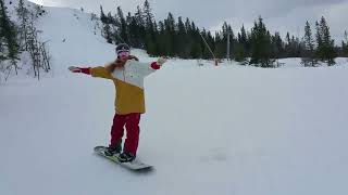 Trysil shredding