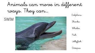 VALDEBERNARDO 1 EP  Natural Science  How do animals move
