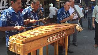 Marimba 'La Guanacasteca', San Jose de Costa Rica.