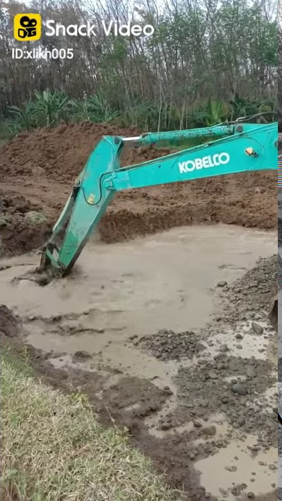 Kuli pacul