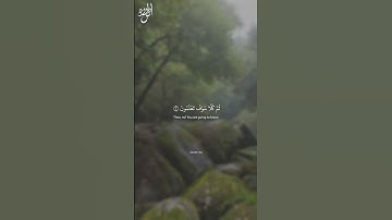 Surah At-Takathur | سورة التكاثر