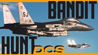 CAP is Better with Wingmen | DCS: WORLD CINEMATIC | F-15 E | F-14