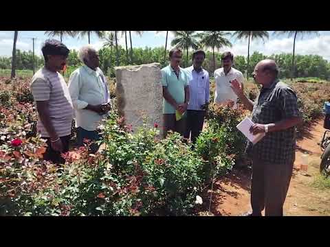 ಹೊಯ್ಸಳ ವೀರಬಲ್ಲಾಳನ ಕಾಲದ ಅಪರೂಪದ ಶಾಸನ ಪತ್ತೆ | Sidlaghatta | Chikkaballapur | Karnataka