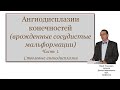 Врожденные пороки сосудов. Часть 1. Стволовые мальформации. Для врачей и студентов медуниверситета.