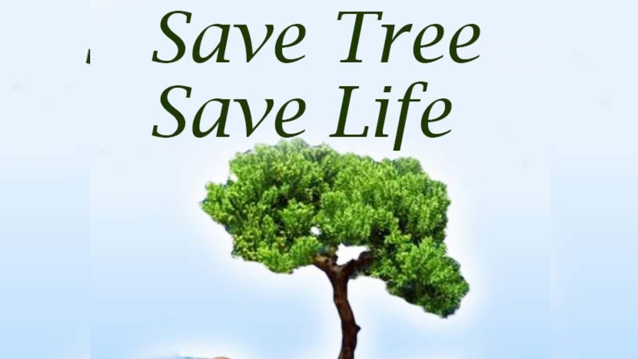save the tree - YouTube