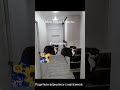 [?] (перезалив с 2023)