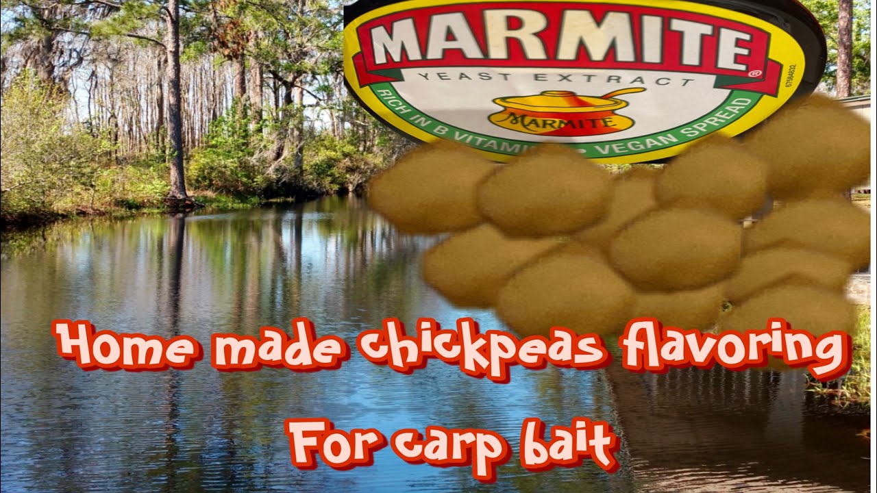 "DIY Chickpea Flavored Carp Bait Easy Homemade Recipe for Successful Fishing!" YouTube