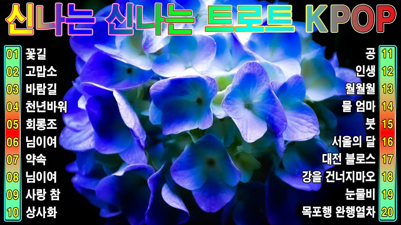 [ TOP ] 신나는 신나는 트로트 KPOP (TROT) PLAYLIST ☘️ ( 꽃길.상사화.여인의 눈물.회룡포.바람길...) 