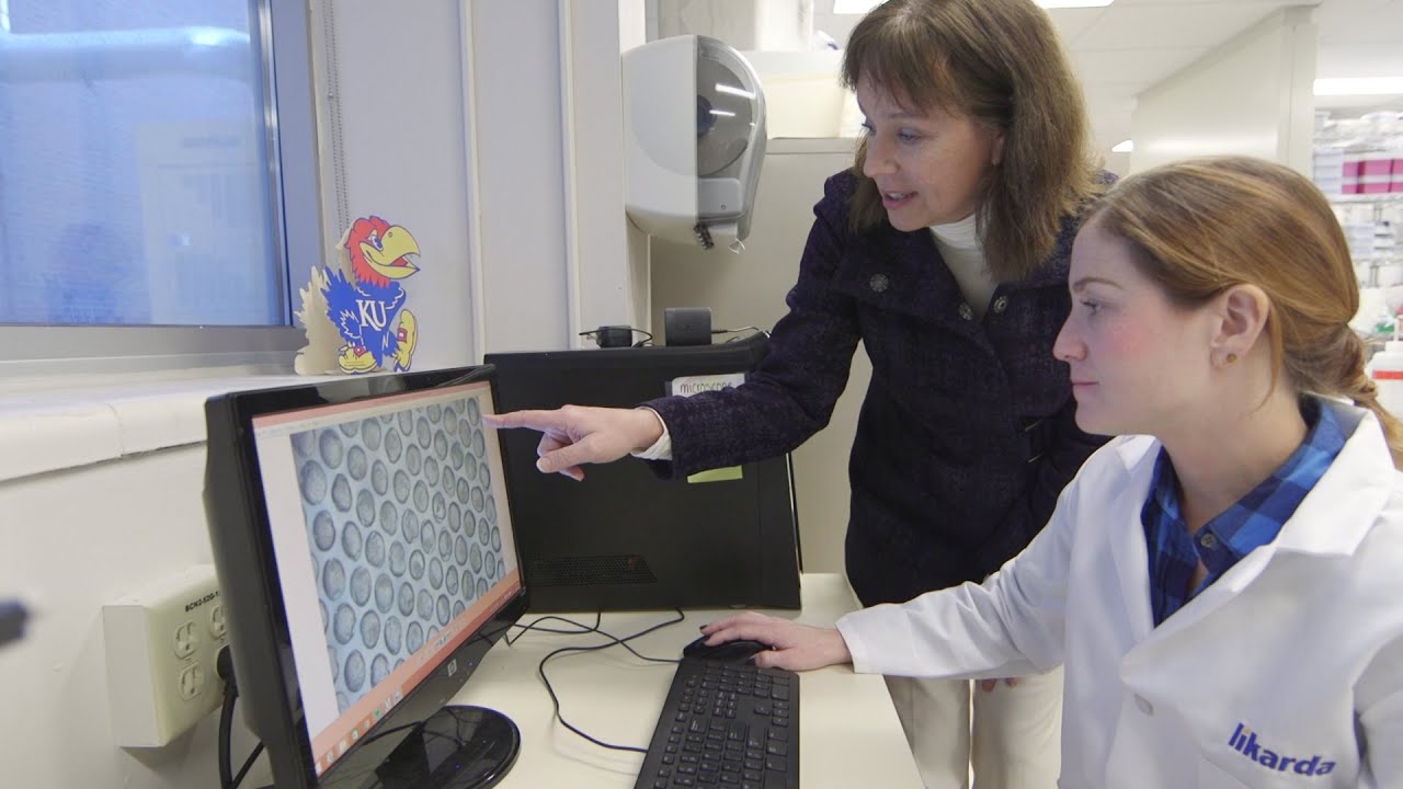 KU researchers grow simple development into profitable startup