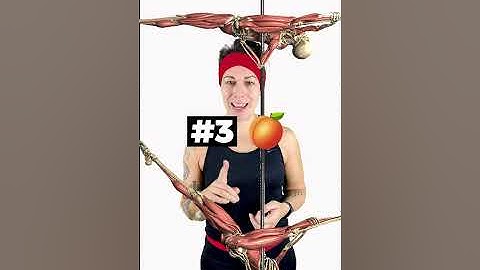 Pole Anatomy | Breaking down the Jade Split