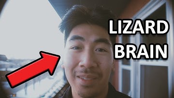 The Mindset Shift: From Struggling to Thriving