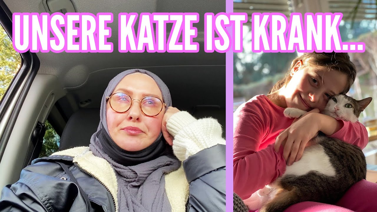 Unsere Katze ist krank... (VLOG) | Berliner Sechslinge