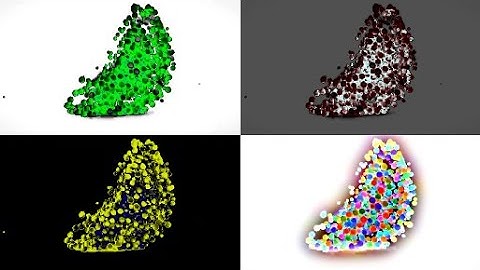 LEARN SHAPES WITH COLOR BALLS (CRESCENT)  Sponsored BY; Preview 2 Random Effects Combined