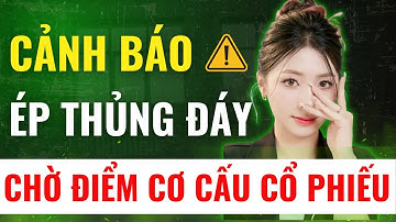 Cẩn Thận Cú Lừa: Chứng Khoán Hồi Phục Hay Bị Bán Ngược?