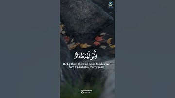 ﴿وُجُوهٌ يَوْمَئِذٍ ناعِمَةٌ﴾  تلاوة عذبة هادئة 🤍 || ‎#عبدالرحمن_مسعد