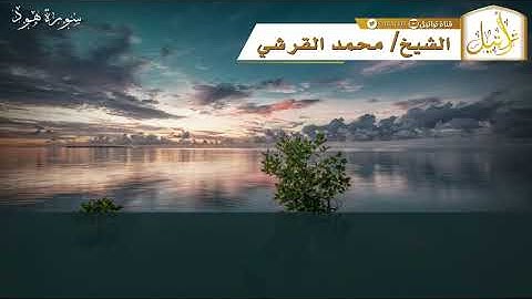 قناة تراتيل | ما تيسر من سورة هود | الشيخ / محمد بن غازي القرشي